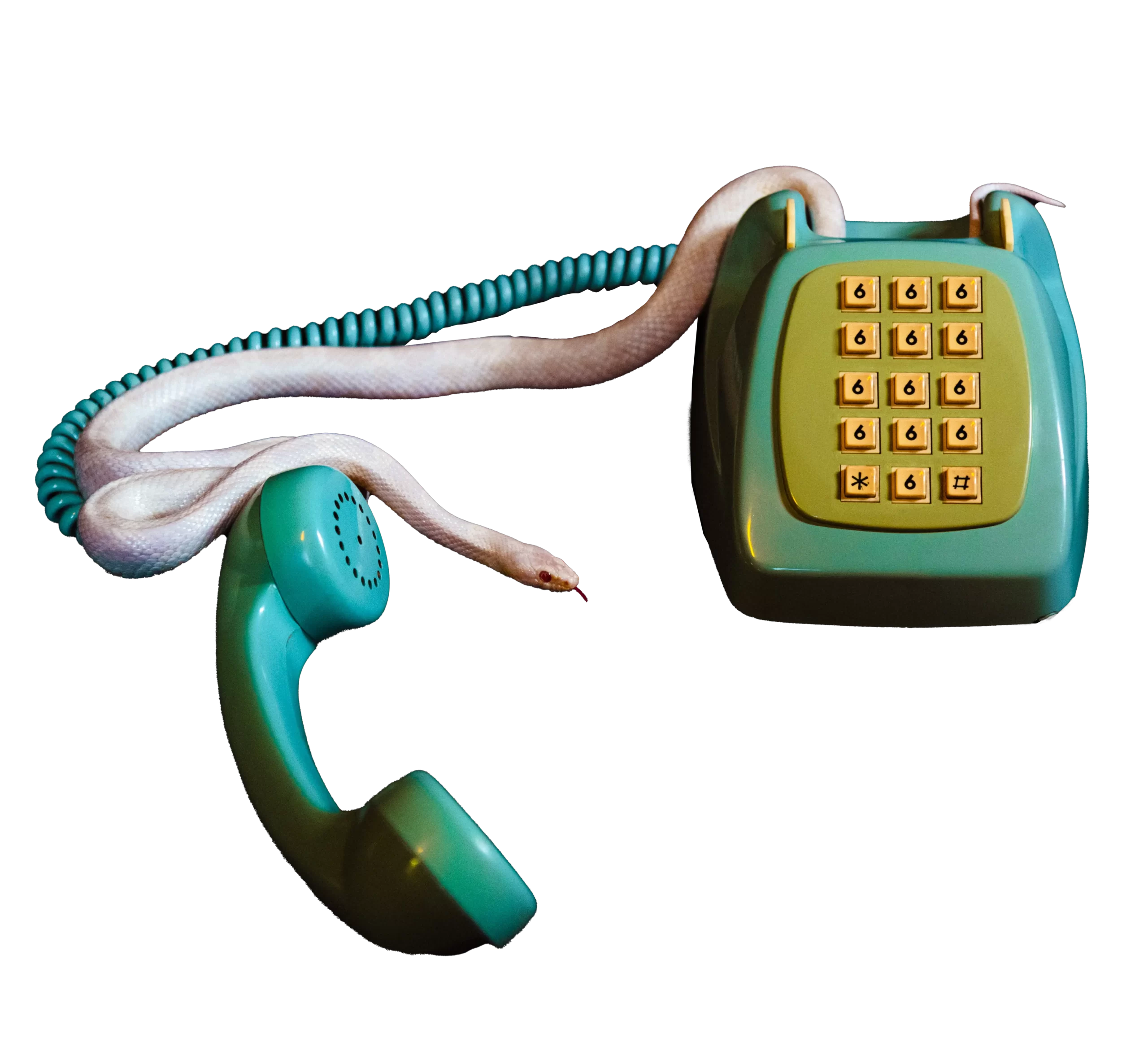serpiente telefono2 1 scaled