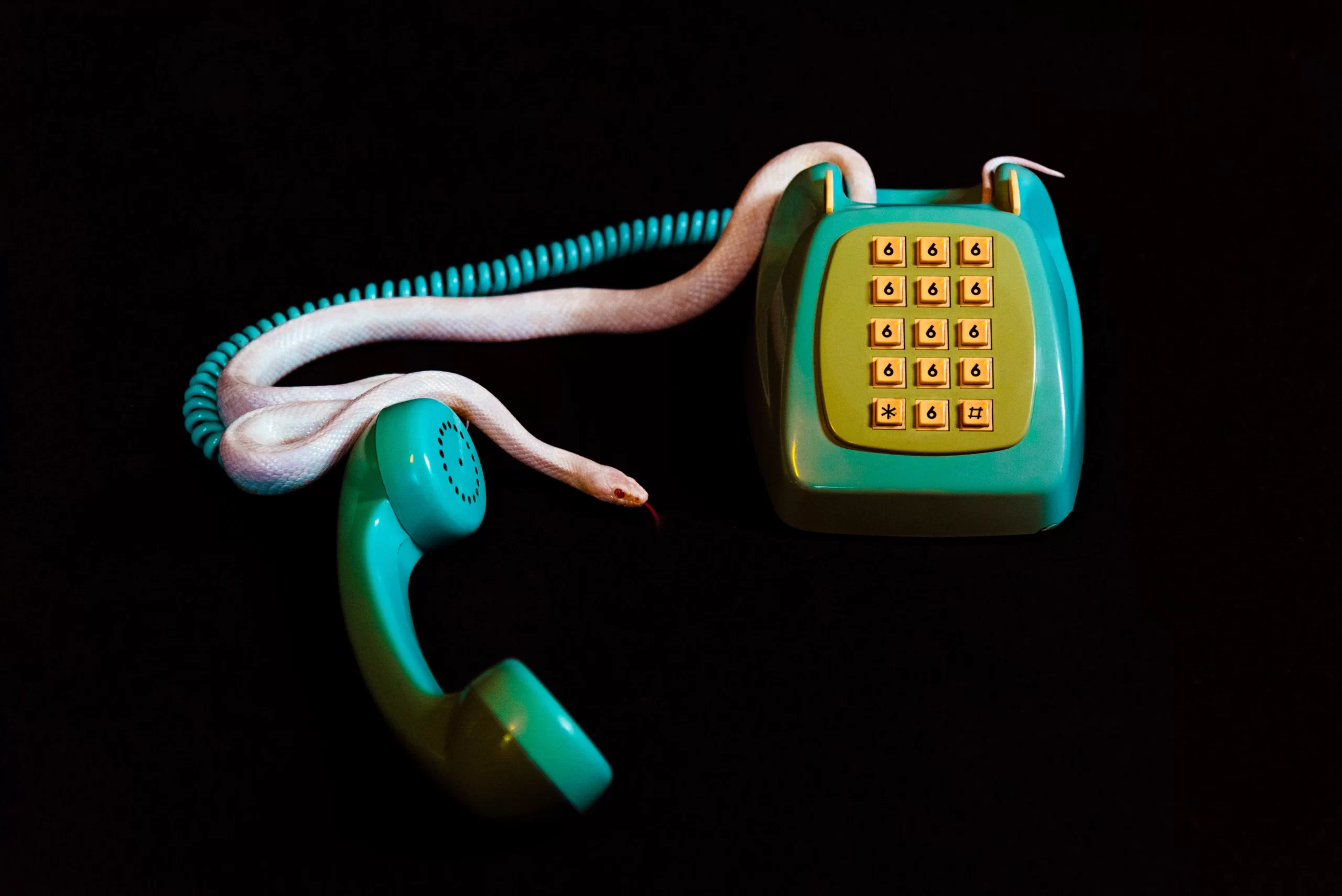 serpiente telefono2